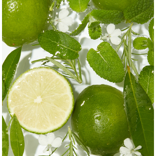 Derma B Fresh Scrub Body Wash 420ml