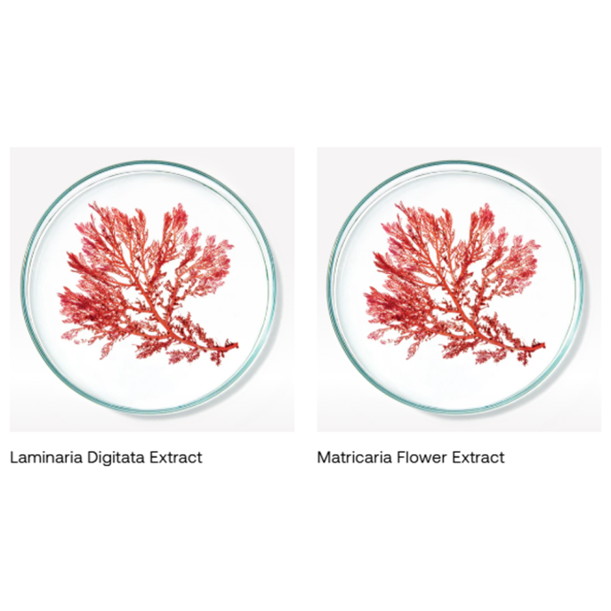 Dermaquest Algae Polishing Scrub 118ml