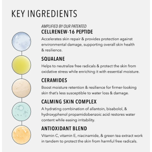 HydroPeptide Barrier Builder 50ml