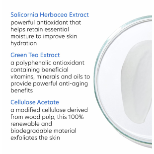 PCA Skin Daily Exfoliant 206.5ml