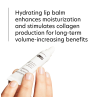 PCA Skin Hyaluronic Acid Lip Booster 6g