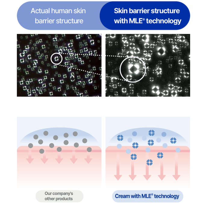 Real Barrier Extreme Cream Light 50ml