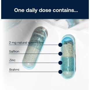 spermidineLIFE Memory+