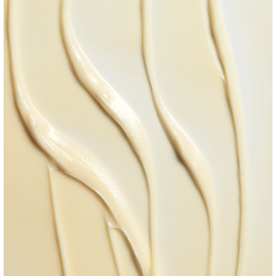 ZO Body Emulsion 240ml